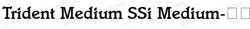 Trident Medium SSi Medium字体转换